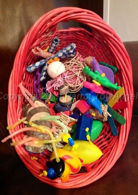 activity basket.jpg - Activity Basket - Large/XL Birds